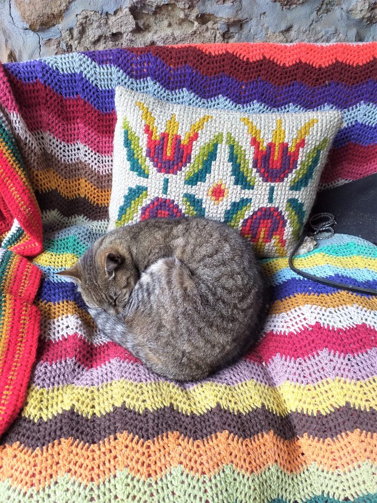 szary pręgowany kot, zwinięty w kłębek  śpi na fotelu, na fotelu kolorowa narzuta w paski i haftowana poduszka w kwiaty